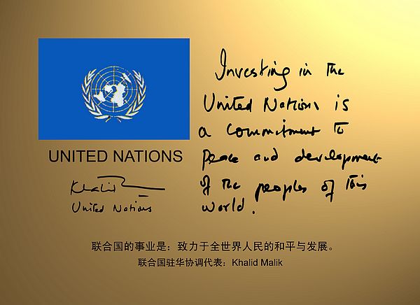 U.N..jpg